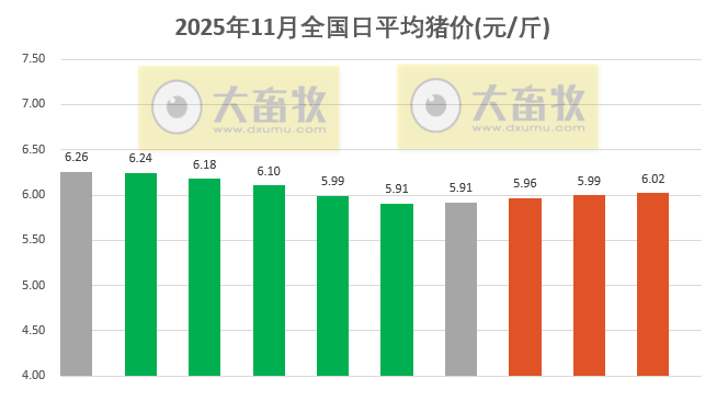 2025.11.10今天猪价行情分析
