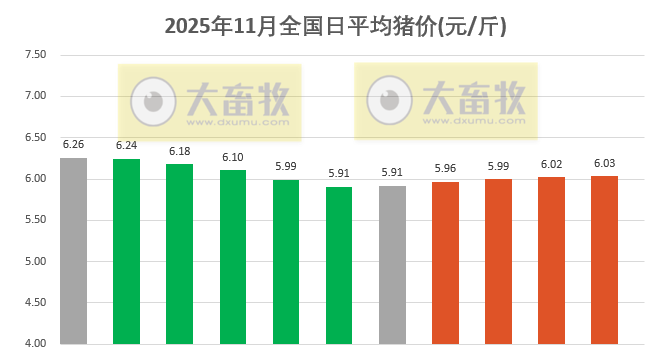 2025.11.11今天猪价行情分析