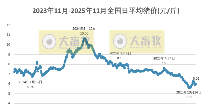 2025.11.11今天猪价行情分析