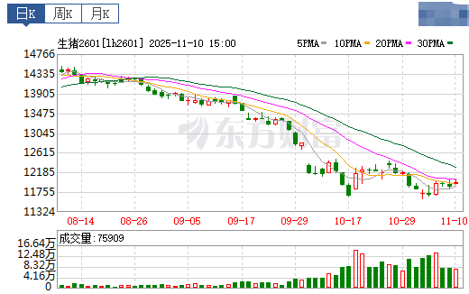 2025.11.11今天猪价行情分析