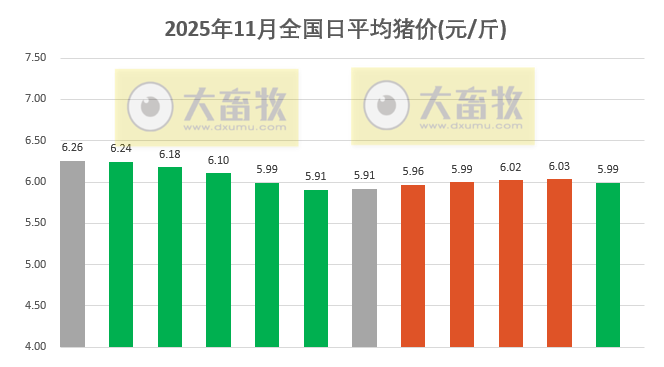 2025.11.12今天猪价行情分析