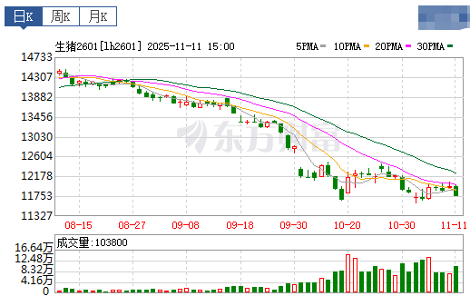 2025.11.12今天猪价行情分析