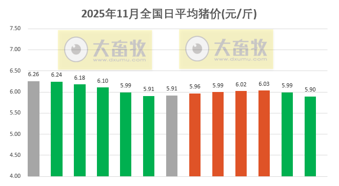 2025.11.13今天猪价行情分析