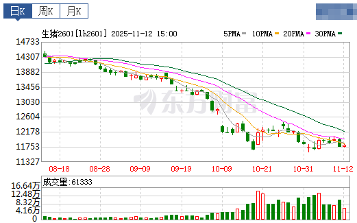 2025.11.13今天猪价行情分析