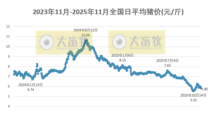 2025.11.14今天猪价行情分析