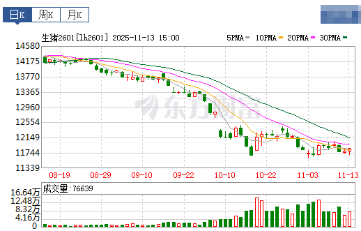 2025.11.14今天猪价行情分析