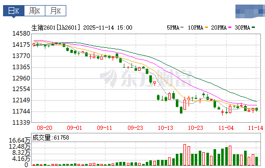 2025.11.15今天猪价行情分析