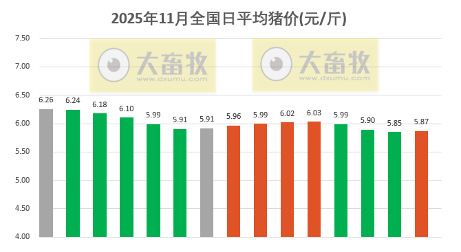 2025.11.15今天猪价行情分析