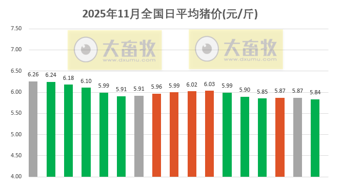 2025.11.17今天猪价行情分析