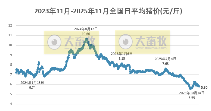 2025.11.18今天猪价行情分析