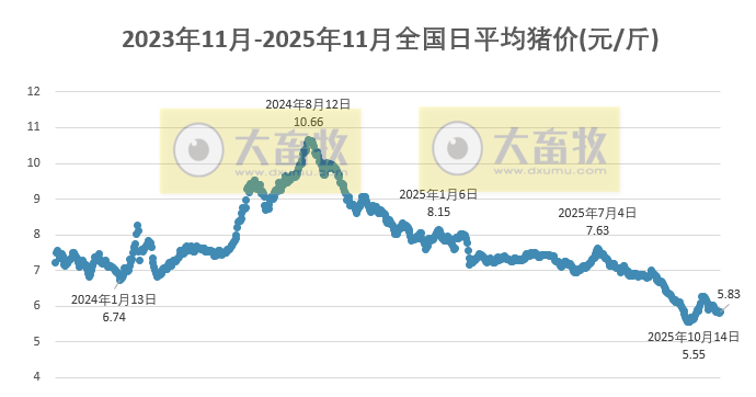 2025.11.19今天猪价行情分析
