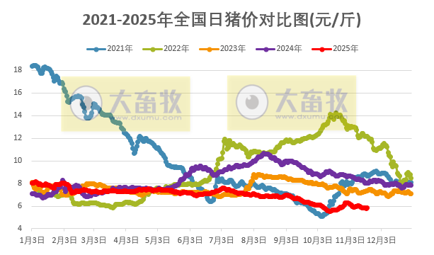 2025.11.19今天猪价行情分析