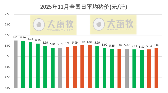 2025.11.20今天猪价行情分析