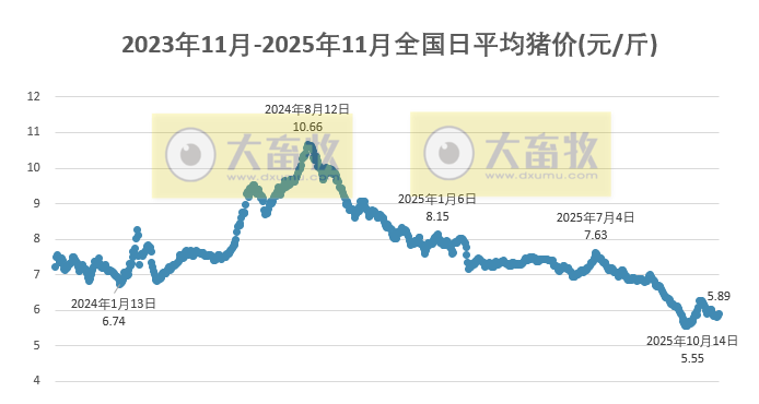 2025.11.20今天猪价行情分析