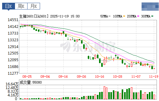 2025.11.20今天猪价行情分析