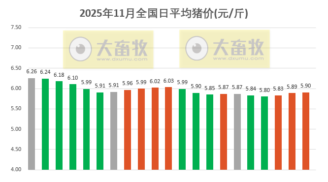 2025.11.21今天猪价行情分析