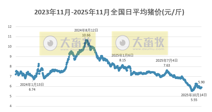 2025.11.21今天猪价行情分析