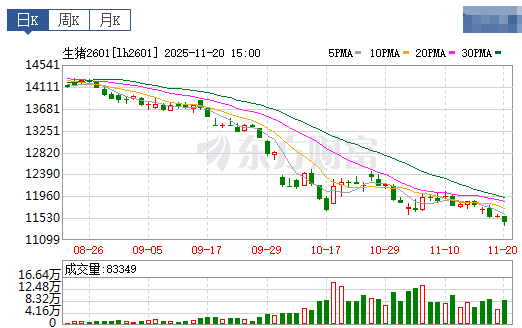 2025.11.21今天猪价行情分析