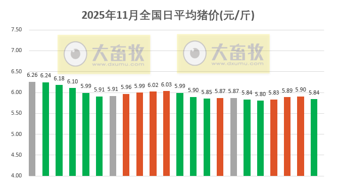 2025.11.22今天猪价行情分析
