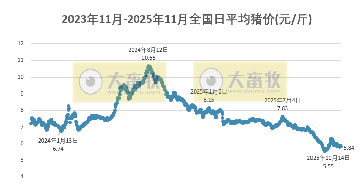 2025.11.22今天猪价行情分析