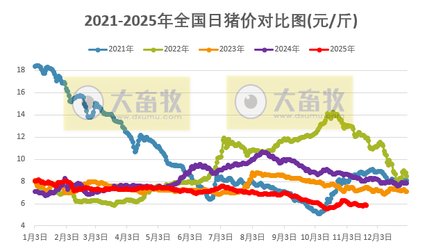 2025.11.22今天猪价行情分析