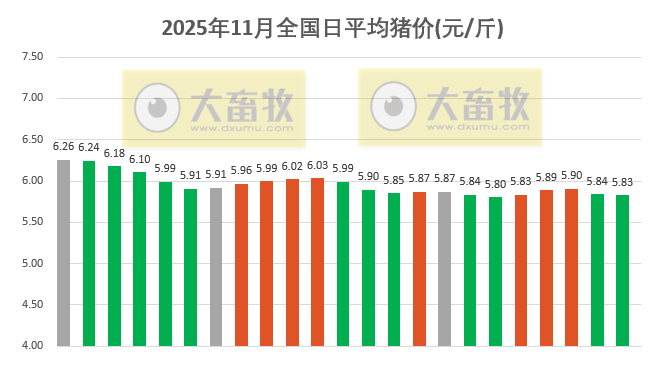 2025.11.23今天猪价行情分析