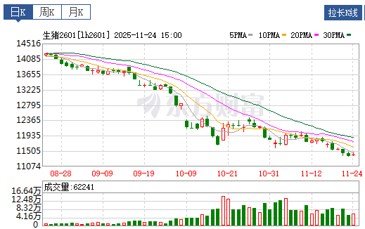 2025.11.25今天猪价行情分析