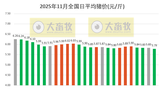 2025.11.25今天猪价行情分析