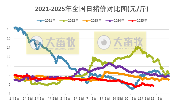 2025.11.25今天猪价行情分析