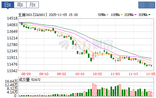 2025.11.26今天猪价行情分析
