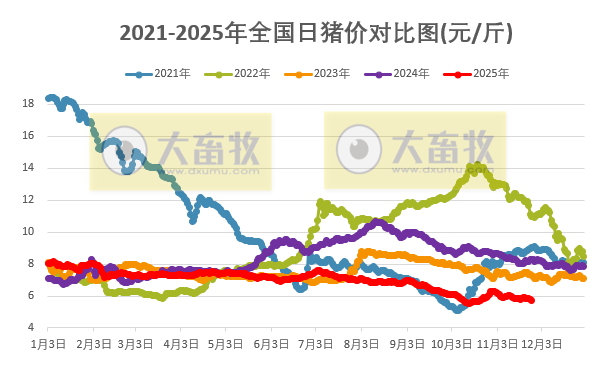 2025.11.26今天猪价行情分析