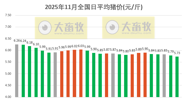 2025.11.26今天猪价行情分析