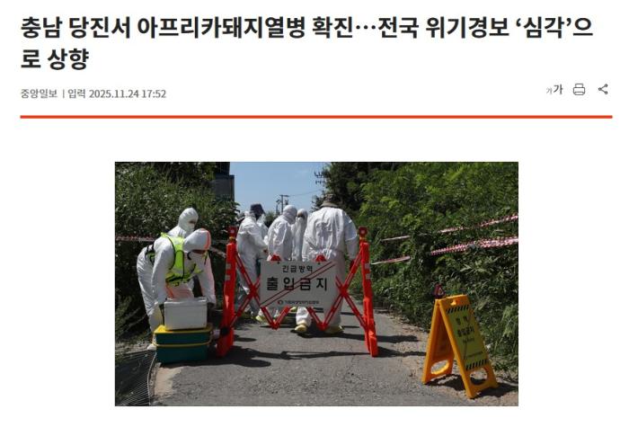 韩国发生非洲猪瘟疫情，政府发布“严重”级危机警报