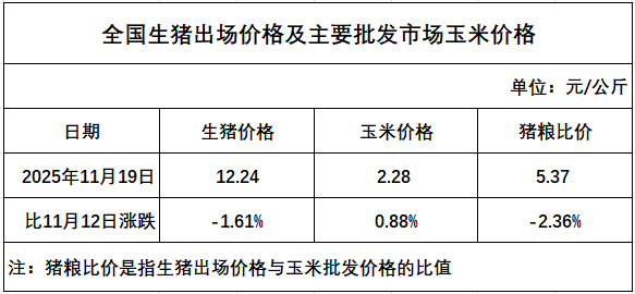 2025.11.27今天猪价行情分析