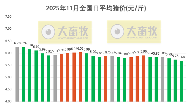 2025.11.27今天猪价行情分析