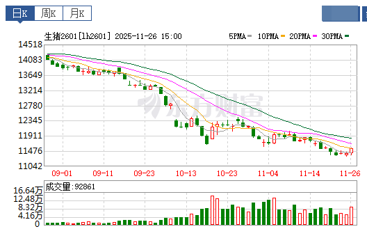2025.11.27今天猪价行情分析
