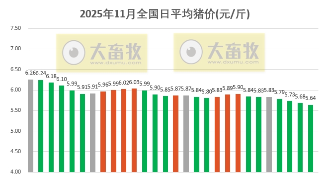 2025.11.28今天猪价行情分析
