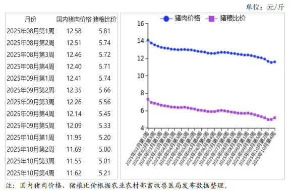 2025年10月国内和国际猪肉市场行情分析——自繁仔猪头均亏损120元，外购仔猪头均亏损370元