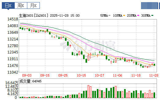 2025.11.29今天猪价行情分析