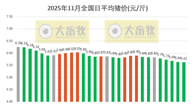 2025.11.29今天猪价行情分析