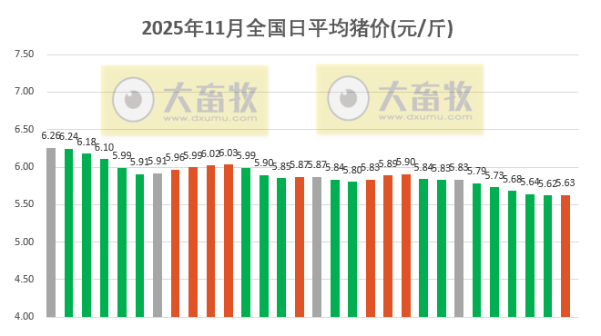 2025年11月全国平均猪价止跌小幅上涨,但仍跌破6元大关