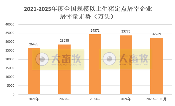 2025年10月全国规模以上生猪定点屠宰企业的屠宰量情况
