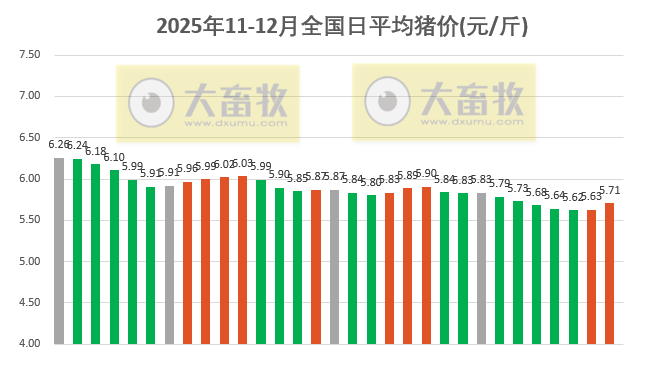 2025.12.01今天猪价行情分析