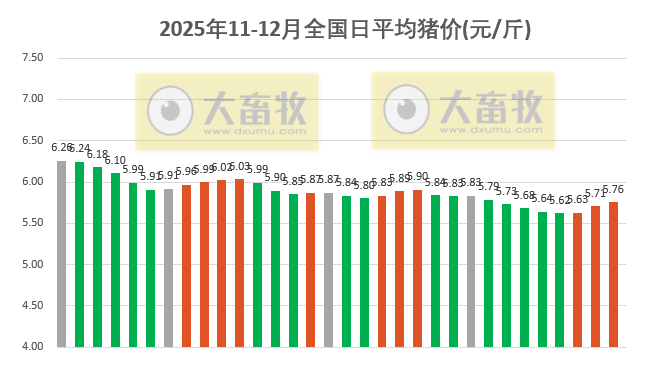 2025.12.02今天猪价行情分析
