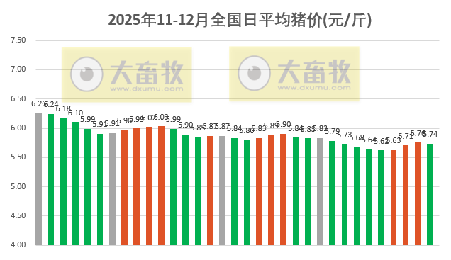 2025.12.03今天猪价行情分析