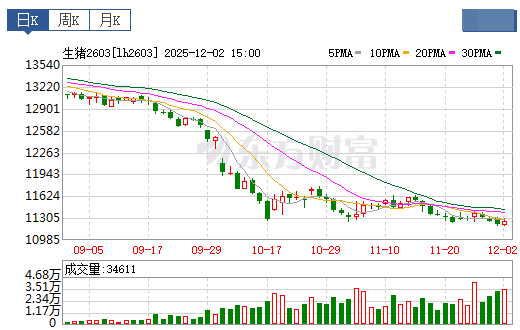 2025.12.03今天猪价行情分析