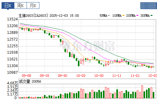 2025.12.04今天猪价行情分析