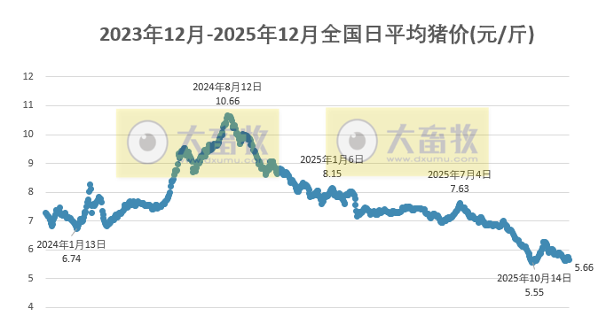 2025.12.04今天猪价行情分析