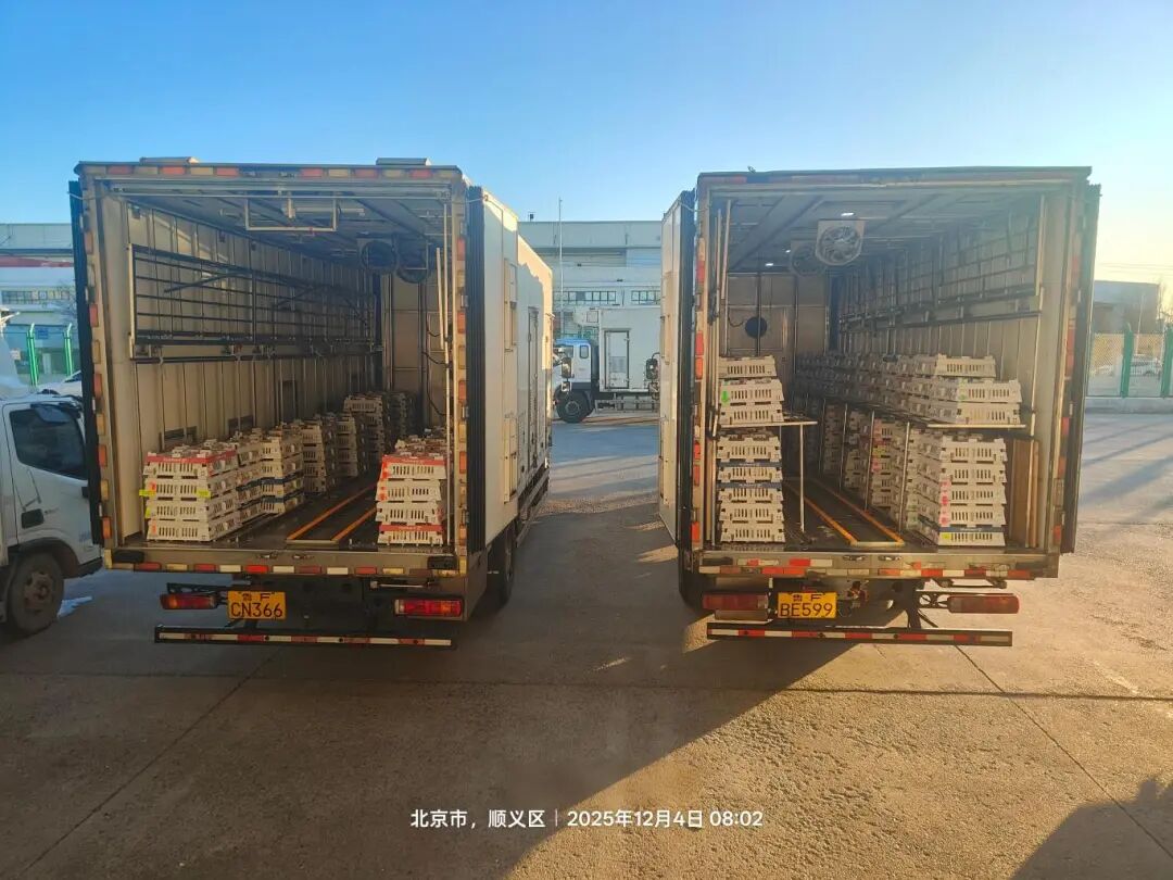 益生股份再度引进法国种源，今年累计引种量已达25.4万套，占据全国祖代肉种鸡引种总量的46%