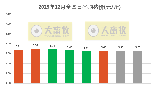 2025.12.08今天猪价行情分析